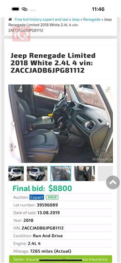 جيب رينيجيد